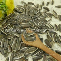 Export Standard Halal Kosher Certificated Wholesale Raw Sunflower Seeds 363 361